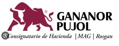 Gananor Pujol