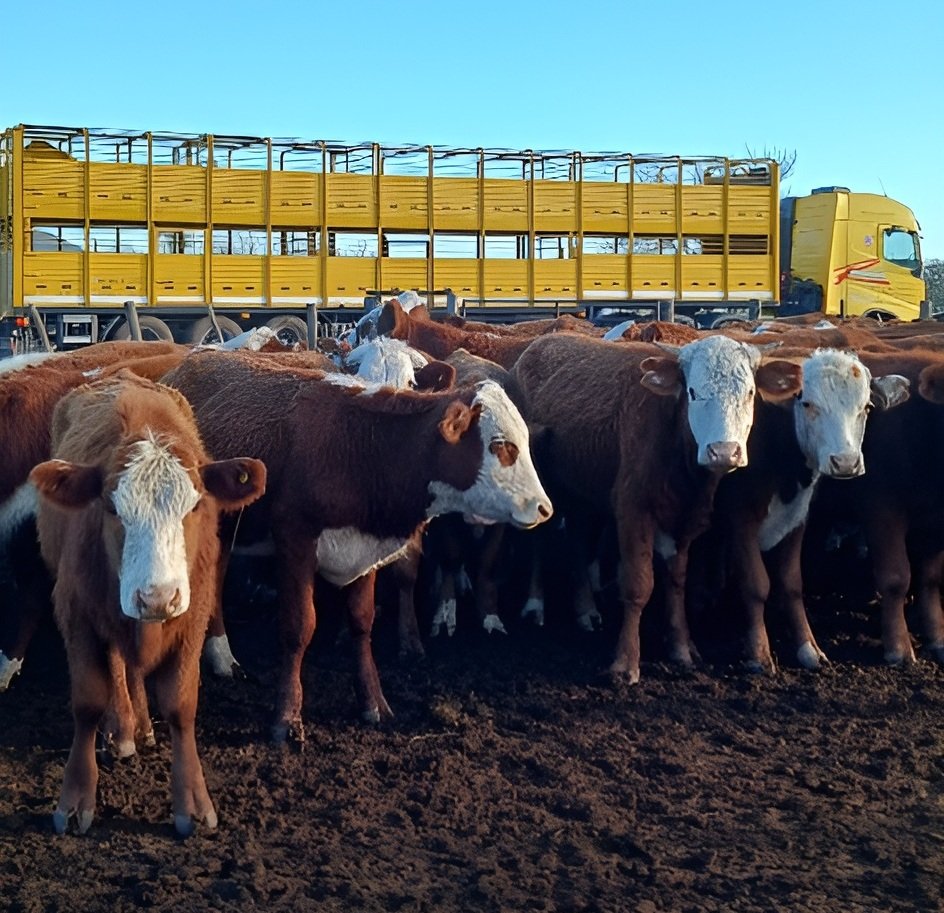 Transporte de hacienda